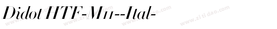 Didot HTF-M11--Ital字体转换